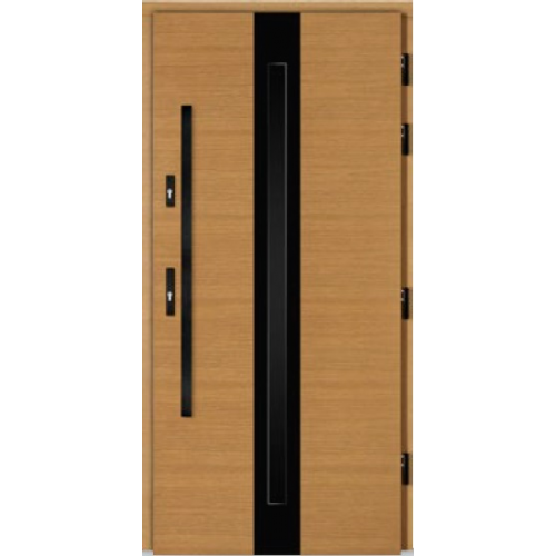 DOORSY drzwi TermoPlus+ CENTO BLACK 03