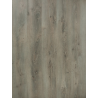WILD WOOD Panel Podłogowy AC5 DĄB PÓŁNOCNY
