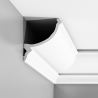 ORAC DECOR gzyms sufitowy C900