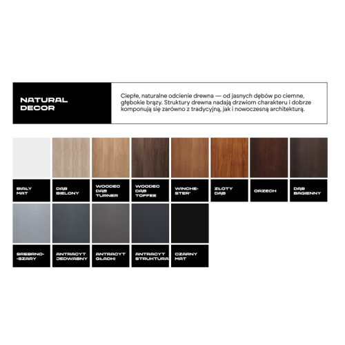WIKĘD FUTURE INOX FI02a drzwi Prima Optimum Termo Prestige